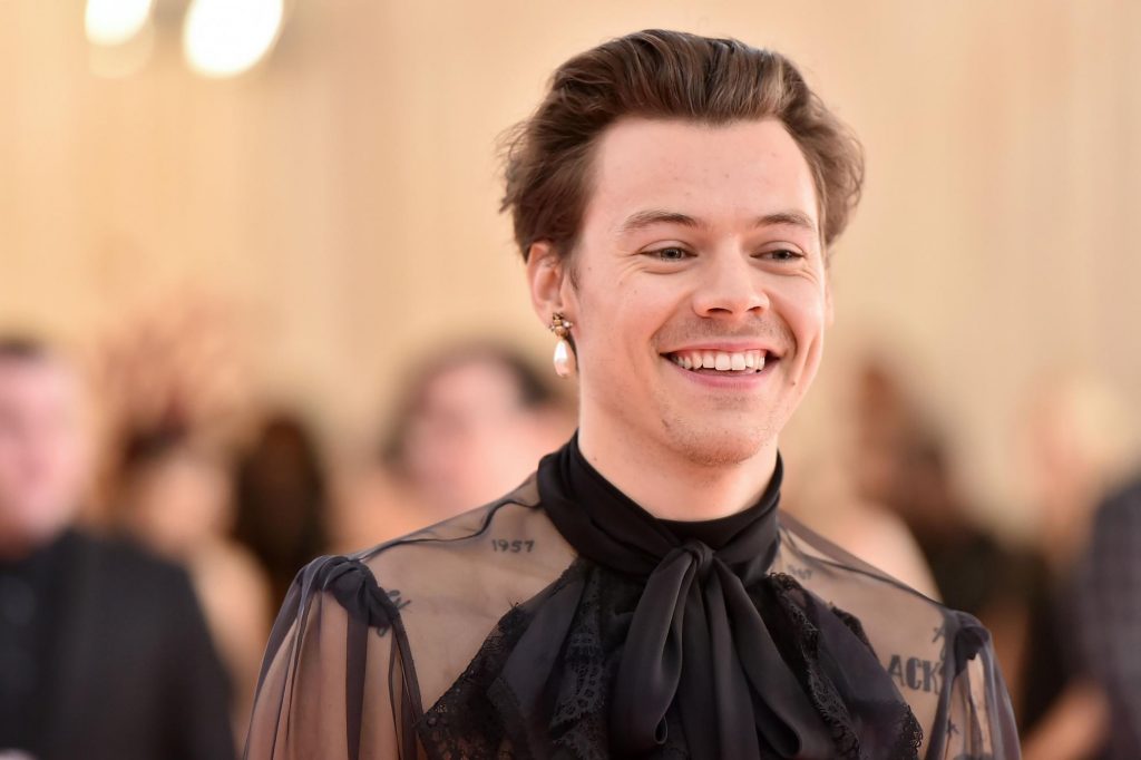 10 Fun Facts About Harry Styles That You Always Wanted To Know