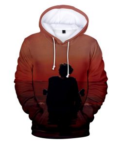 New Harrys Styles 3D Hoodies Men Women Unisex Sweatshirt Hoodie Hip Hop Pullover Treat People With 4 - Harry Styles Store