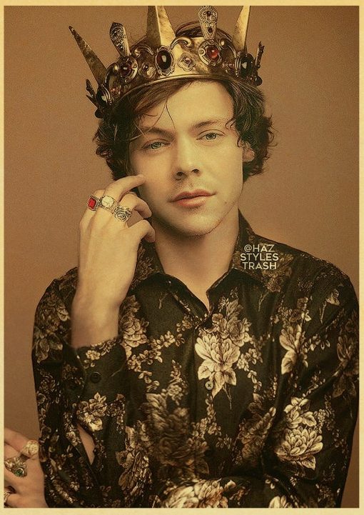 famous singer harry style retro poster 2142 - Harry Styles Store