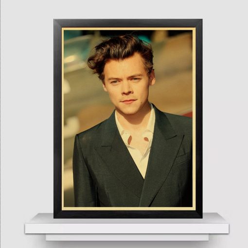 famous singer harry style retro poster 3528 - Harry Styles Store