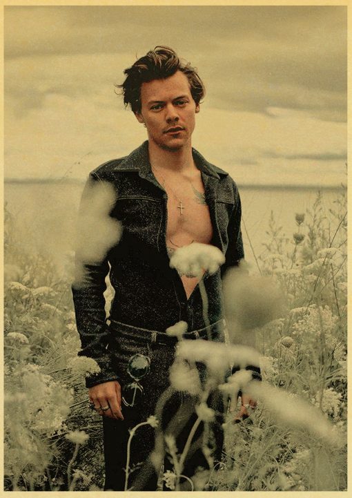 famous singer harry style retro poster 4286 - Harry Styles Store