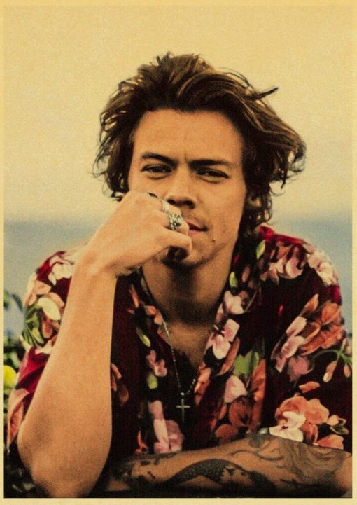 harry style wall poster 1649 - Harry Styles Store