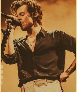 harry style wall poster 6715 - Harry Styles Store