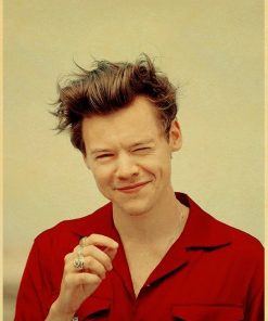 vintage harry retro poster 5348 - Harry Styles Store