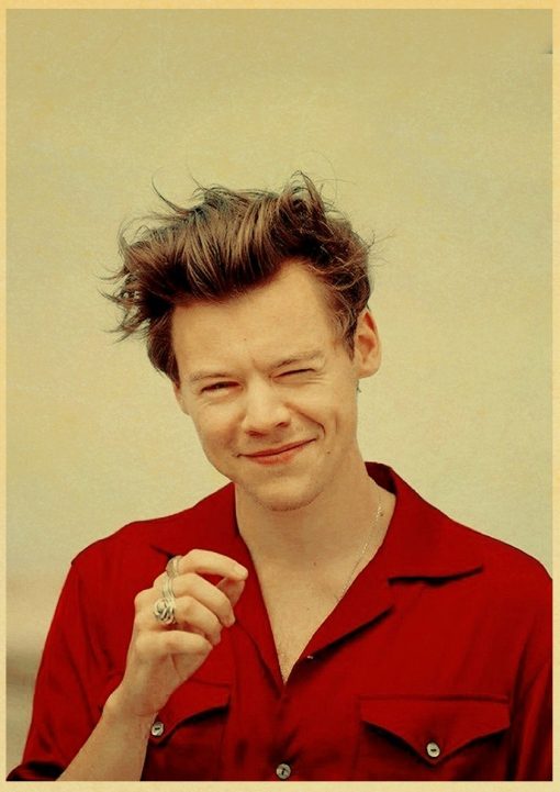 vintage harry retro poster 5348 - Harry Styles Store